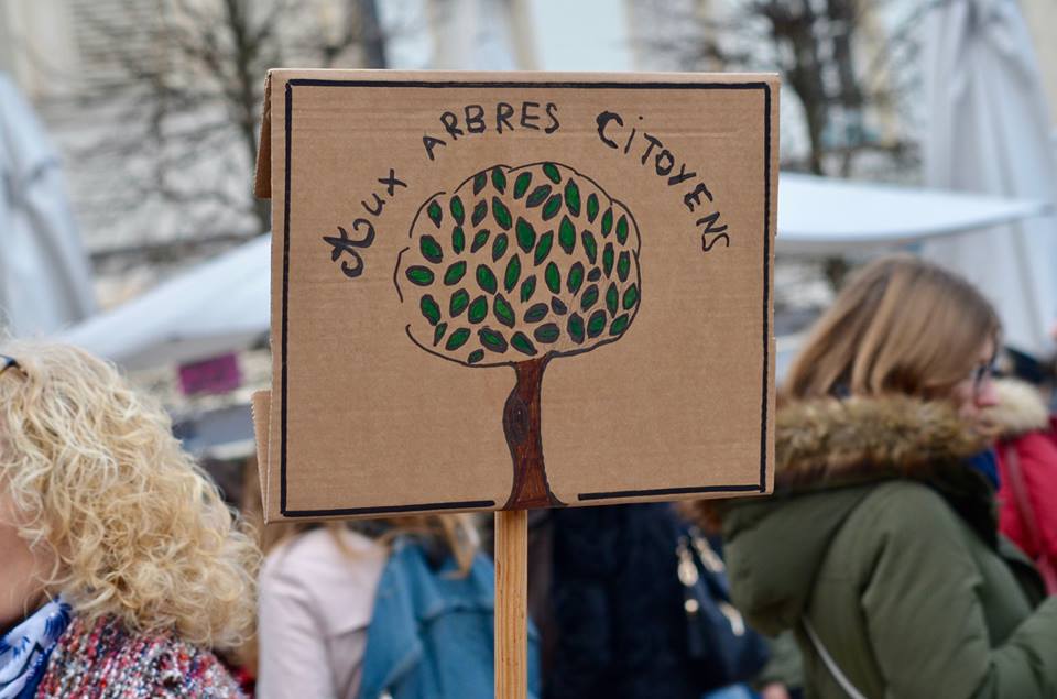 olivier jacquin -  - Marche climat 1